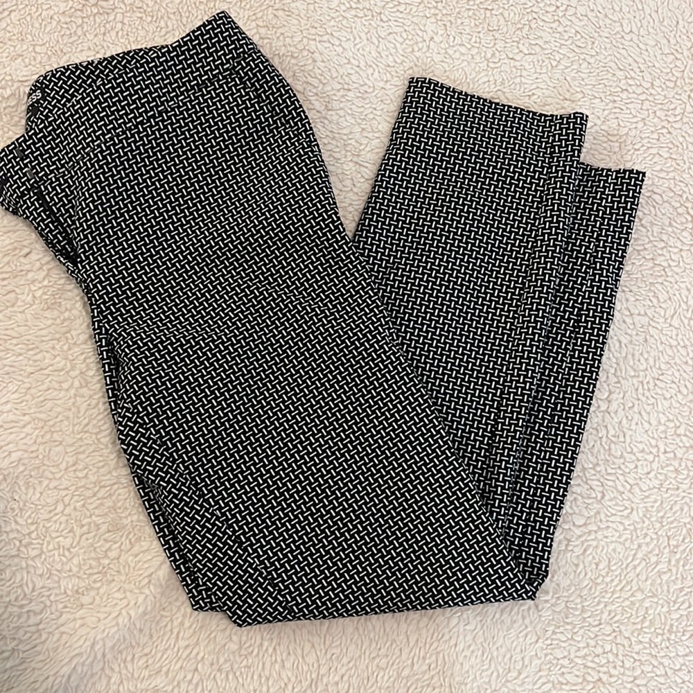 Express Columnist Pants